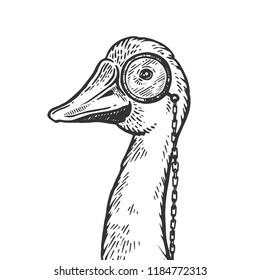 Goose bird witn monocle engraving vector illustration. Scratch board style imitation. Black and white hand drawn image.