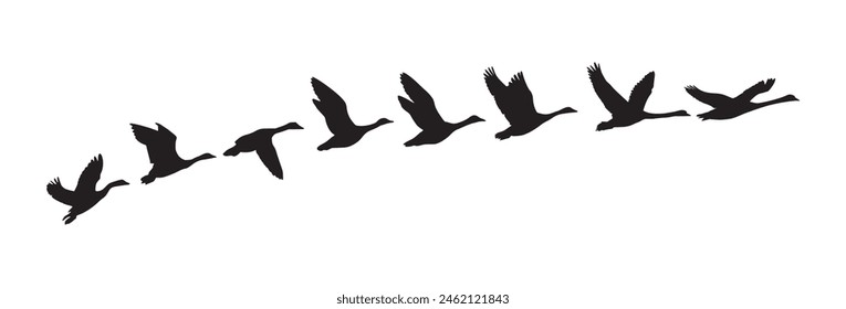 goose birds fly silhouette black isolated white background