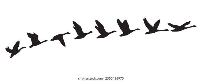 Goose birds fly silhouette black. Vector illustration. Eps 10