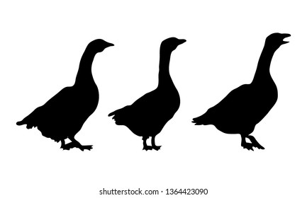 Goose black silhouette 