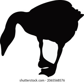 a goose body silhouette vector