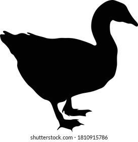 Goose (Branta) Standing On a Side View Silhouette Found In Map Of Asia, Europe And North America