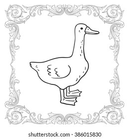 Goose for butcher shop. Animal silhouette goose. Vintage vector illustration. 