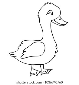 Goose Character Book Coloring Page Stock Vector (Royalty Free ...