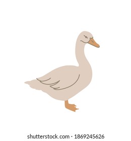 Goose in colored flat style. For logo, icons, emblems, template, badges. Vector illustration