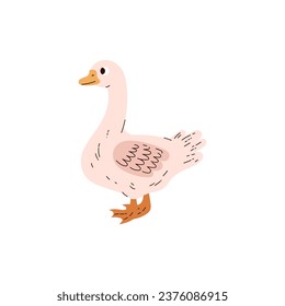 Goose domestic raising at poultry farm bird, flat vector illustration isolated on white background. Bird symbol for raising geese in domestic setting and at poultry farm.