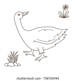 Goose doodle line black and white farm bird vector illustration