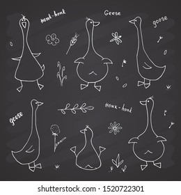 Goose Doodles Set. Cute Geese sketch. Hand drawn Cartoon Vector illustration on chalkboard background.