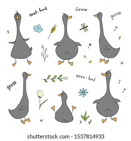 Goose Doodles Set. Cute Geese sketch. Hand drawn Cartoon Vector illustration on white background .