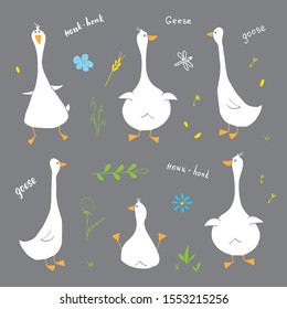 Goose Doodles Set. Cute Geese sketch. Hand drawn Cartoon Vector illustration .