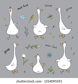 Goose Doodles Set. Cute Geese sketch. Hand drawn Cartoon Vector illustration .