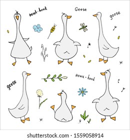 Goose Doodles Set. Cute Geese sketch. Hand drawn Cartoon Vector illustration on white background .