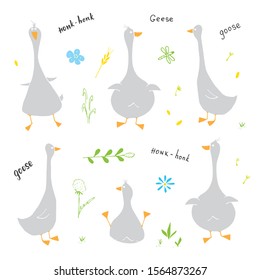Goose Doodles Set. Cute Geese sketch. Hand drawn Cartoon Vector illustration on white background .