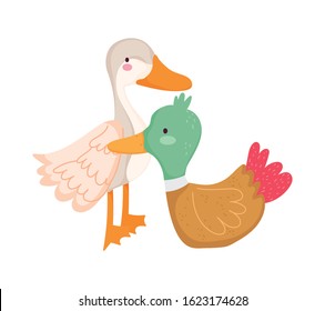 goose and duck birds farm animal cartoon vector illustration