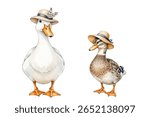 Goose and duck in hats vector illustration. Lady duck and mister goose female and male poultry. Domestic birds.  White goose in fedora-style hat with feather, and cute mallard duck with blue ribbon.
