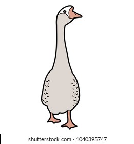 goose, duck, on white background