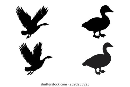 Goose duck silhouettes vector art