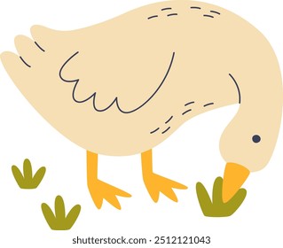 Goose Eating Grass Vector Illustration