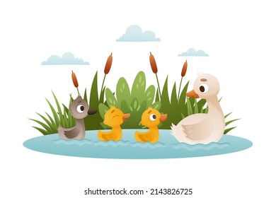 Goose family. Mom floating with her babyies. Ugly duckling fairy tale cartoon vector illustration