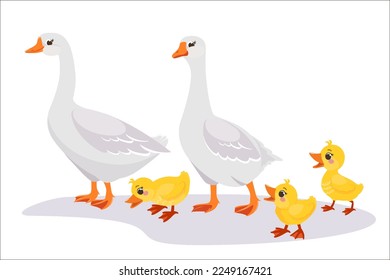 The goose family. Mother father and their children. The Ugly Duckling fairy tale cartoon vector illustration. Vector illustration of cute domestic and wild birds for children's books, magazines, websi