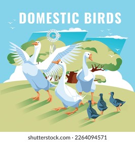 goose family on green meadow against blue sky. Vector flat illustration. Agriculture, animal husbandry and agriculture.