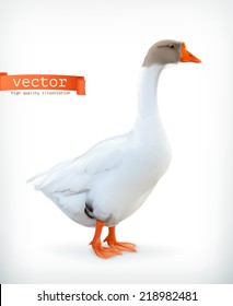 Goose, farm animals vector illustration