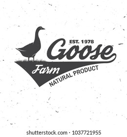 Goose Farm Badge or Label. Vector illustration. Vintage typography design with goose silhouette. Elements on the theme of the goose farming business. Farm insignia and patches isolated on white