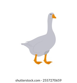 Goose, Farming Flat Vector Illustration