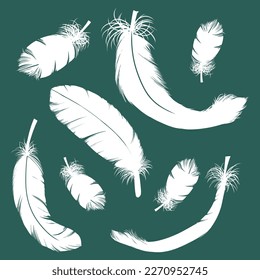 Goose feather in vector style with interesting details