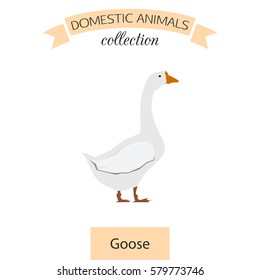 Goose flat icon isolated on white background. Domestic animals collection
