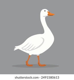 Goose flat vector illustration. White farm bird isolated on solid background. Minimalistic modern style