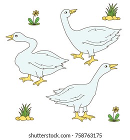 Goose gander farm birds icons colorful vector set