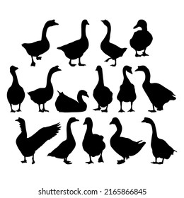 Goose, geese. Template for plotter lazer cutting of paper, wood svg