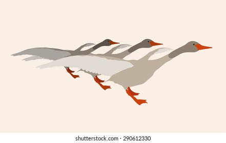 goose geese vector