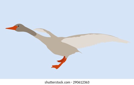 goose geese vector