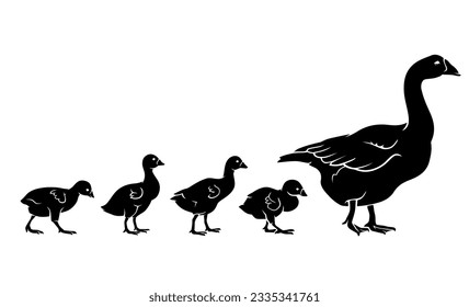 Goose and gosling or chicks walking, Animal Silhouette Set
