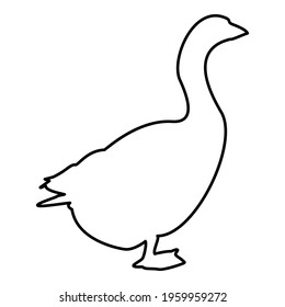 Goose Gosling Geese Anser Gander contour outline black color vector illustration flat style image