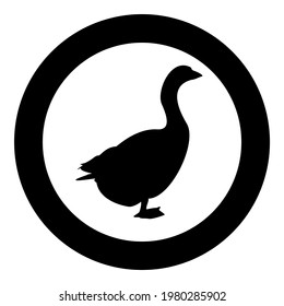 Goose Gosling Geese Anser Gander silhouette in circle round black color vector illustration solid outline style image