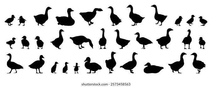 goose and gosling silhouette set. goose and gosling isolated farm animal silhouette icon vector collection. Vector illustration