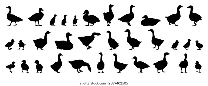 goose and gosling silhouette set. goose and gosling isolated farm animal silhouette icon vector collection. Vector illustration