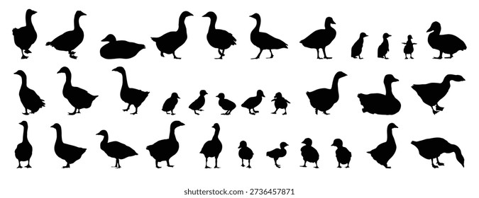 goose and gosling silhouette set. goose and gosling isolated farm animal silhouette icon vector collection. Vector illustration