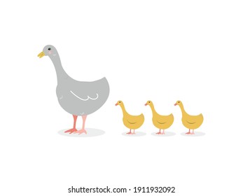 Goose with goslings isolated image on white background. Cute print. Gray goose and yellow goslings in cartoon simple flat style. Vector illustration.