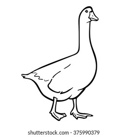 Goose Hand Drawn Vector