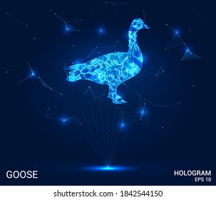 El holograma de ganso. Una oca compuesta de polígonos, triángulos, puntos y líneas. Estructura del compuesto de polos bajos de ganso. El concepto tecnológico