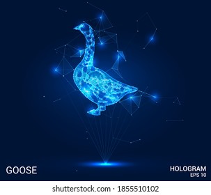 The goose hologram. A goose made up of polygons, triangles, points, and lines. Goose low poly compound structure. The technology concept.