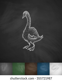goose icon. Hand drawn vector illustration. Chalkboard Design
