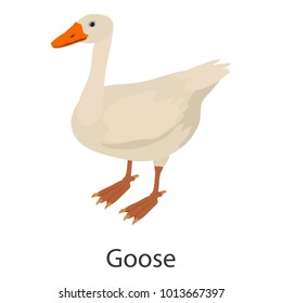Goose icon. Isometric illustration of goose vector icon for web