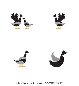 Goose icon and symbol vector illustration