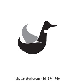 Icono de la dirección e ilustración vectorial de símbolo