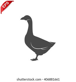 goose icon, vector  goose silhouette , isolated goose sign